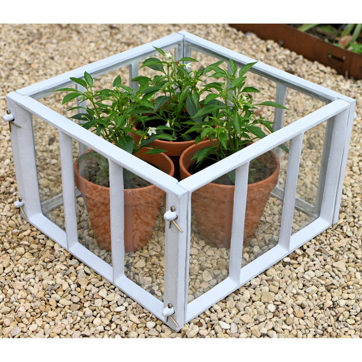 Cast Iron Garden Cloche - Image 8