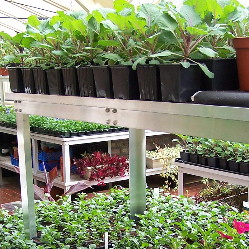 Commercial Bench Extra Tier - Image 6