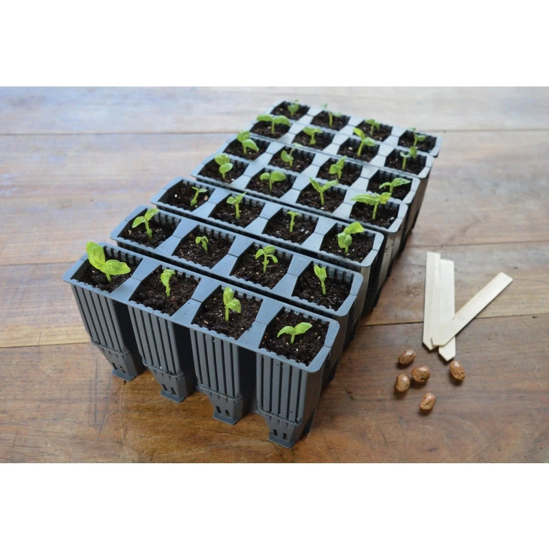 28 Cell Deep Root Plant Cells - Image 10