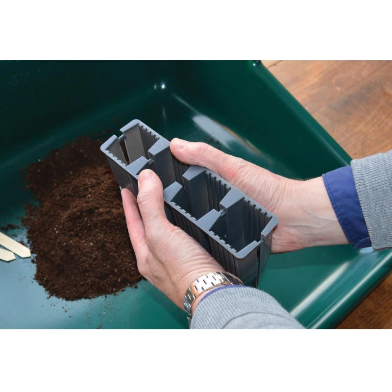 28 Cell Deep Root Plant Cells - Image 9