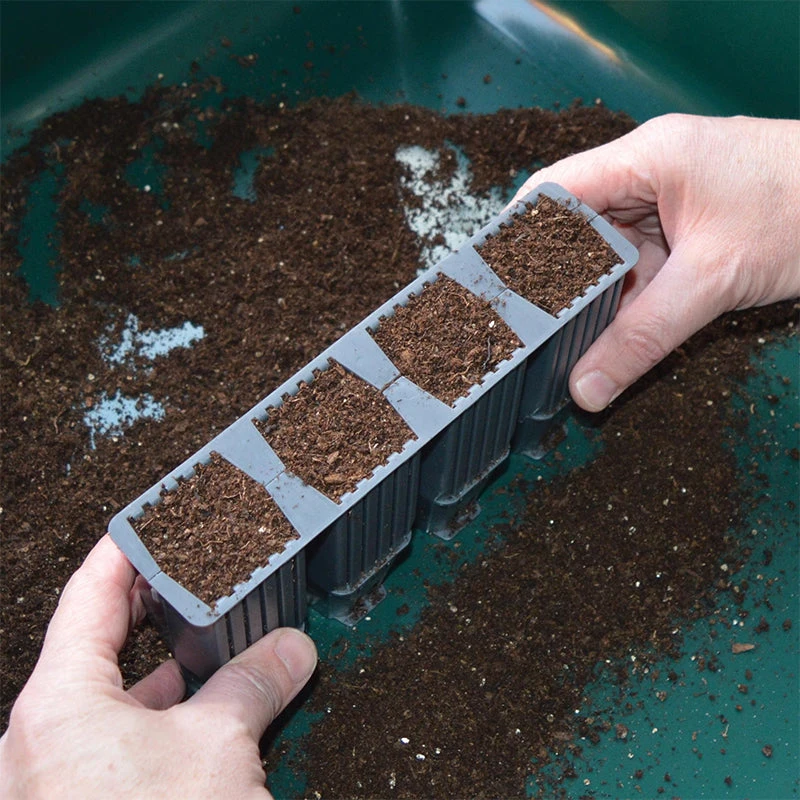 28 Cell Deep Root Plant Cells - Image 6