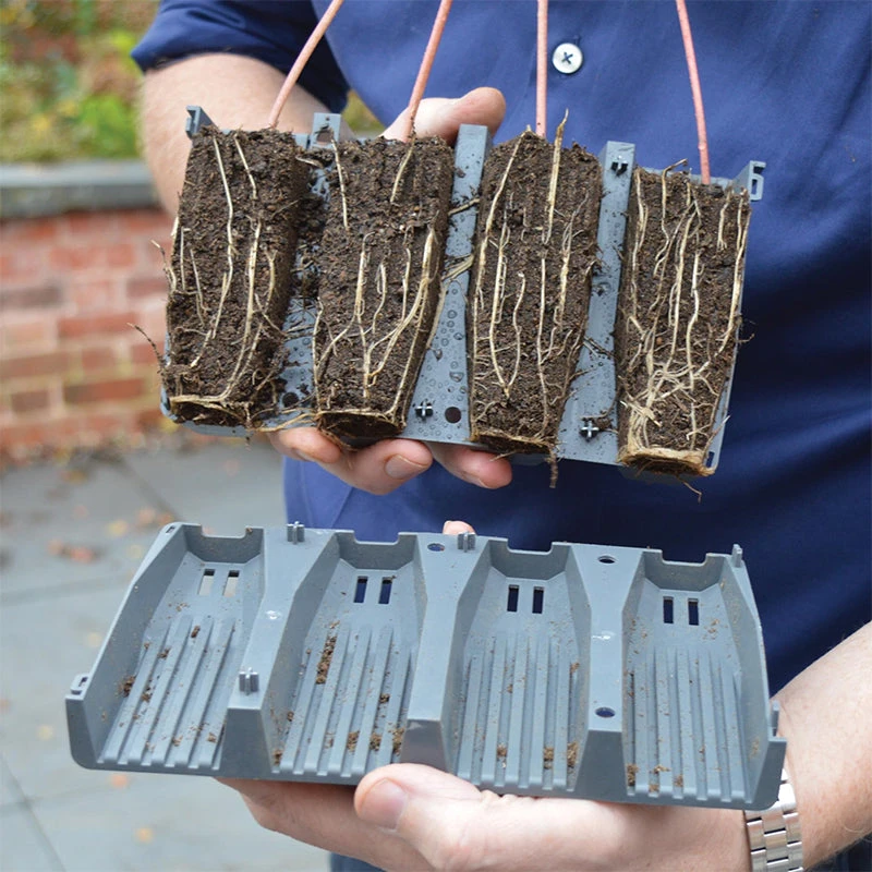 28 Cell Deep Root Plant Cells - Image 5