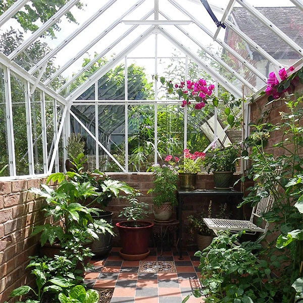 Elite Thyme 6'3" Wide Greenhouse For Dwarf Wall - Image 3