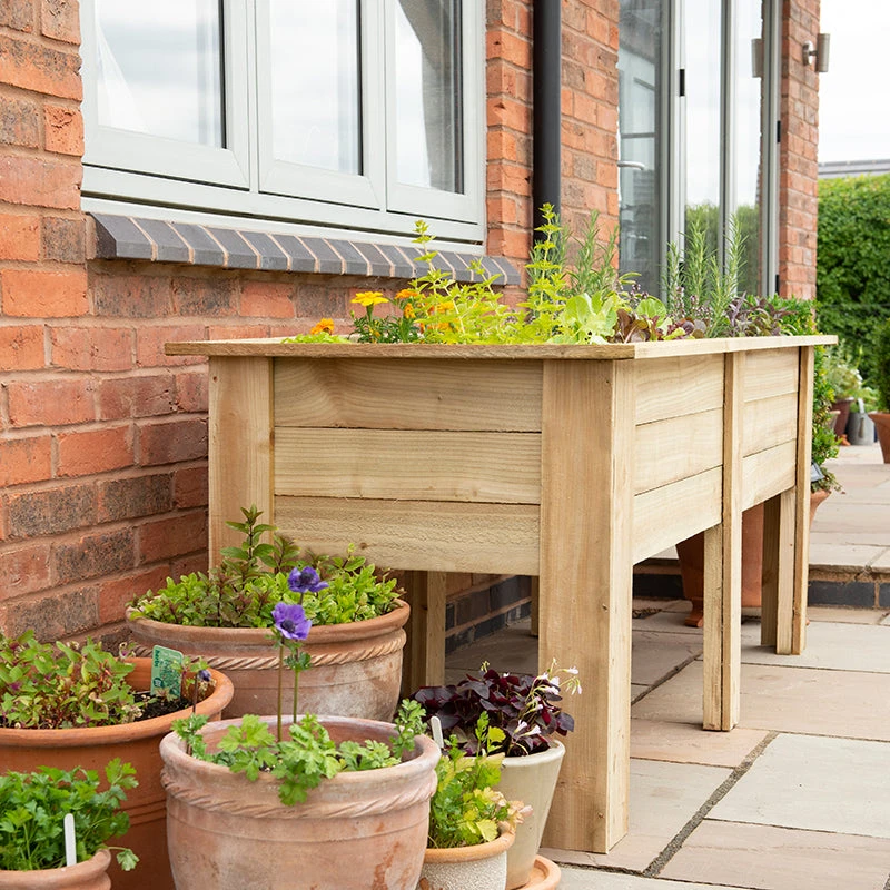 Kitchen Garden Planters - Image 2