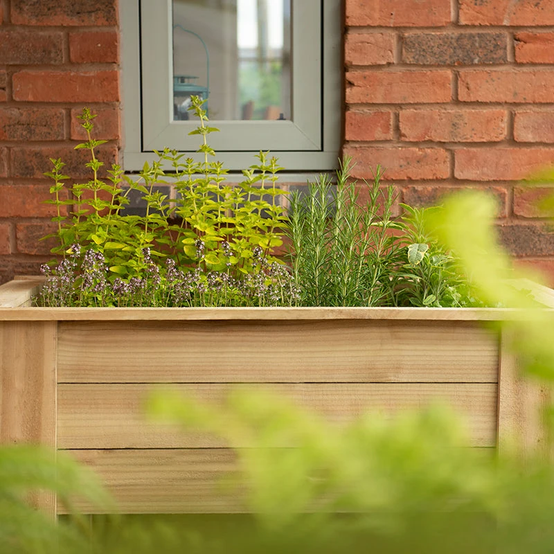 Kitchen Garden Planters - Image 7
