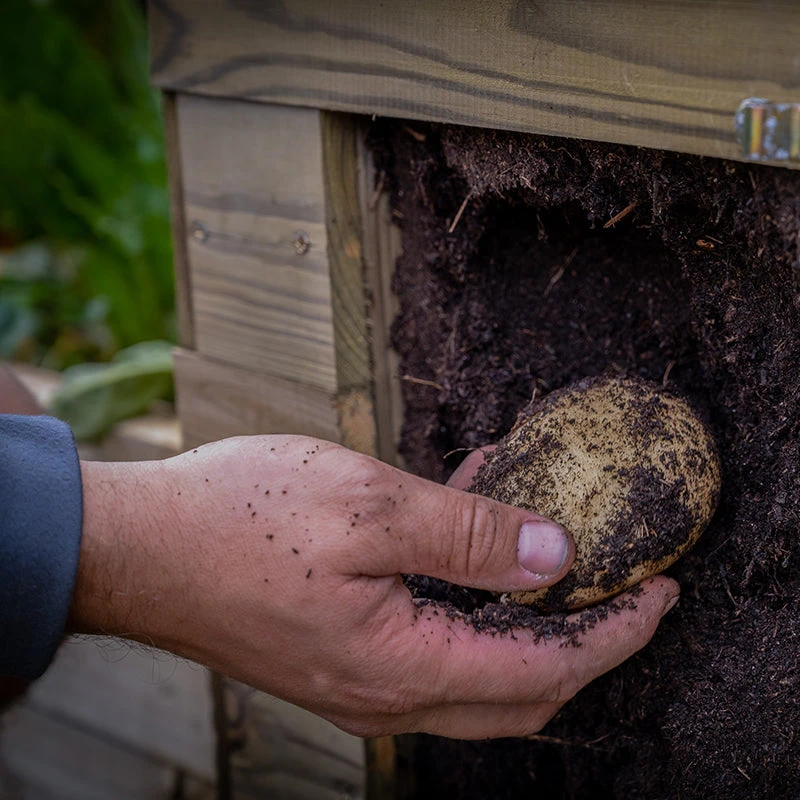 Forest Garden Wooden Potato Planter - Image 4