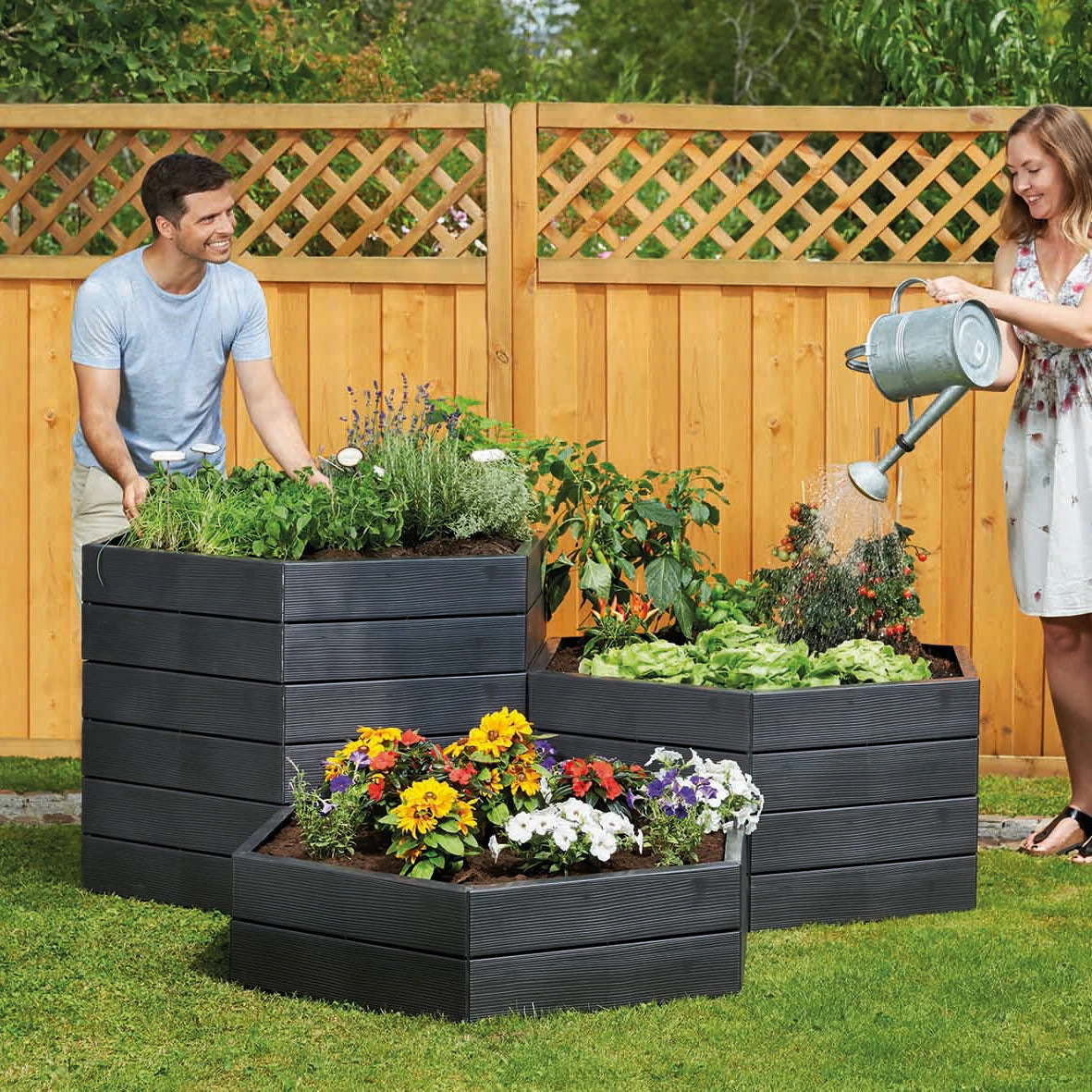 Ergo Raised Bed