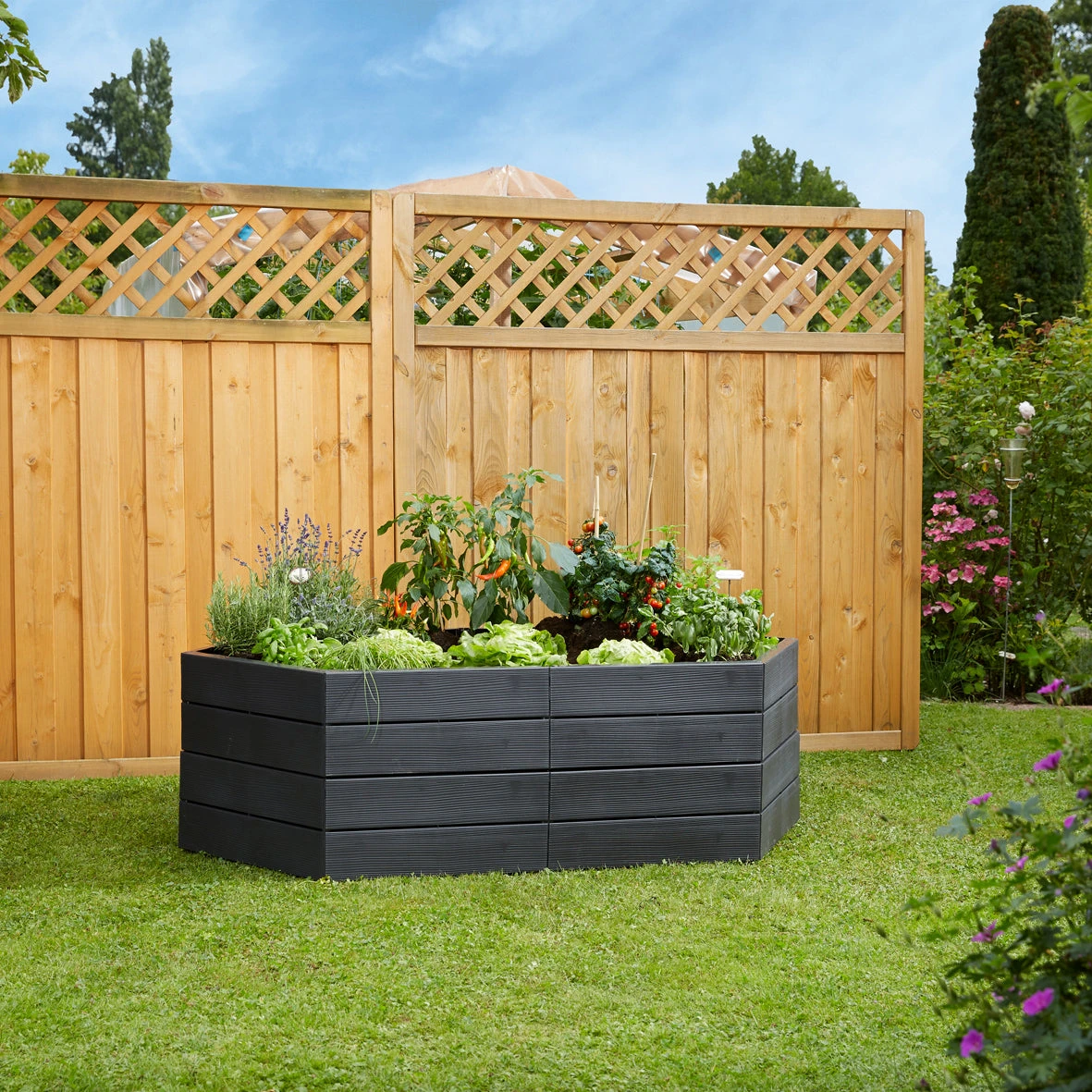 Special Offer Ergo Raised Bed Set - Image 3