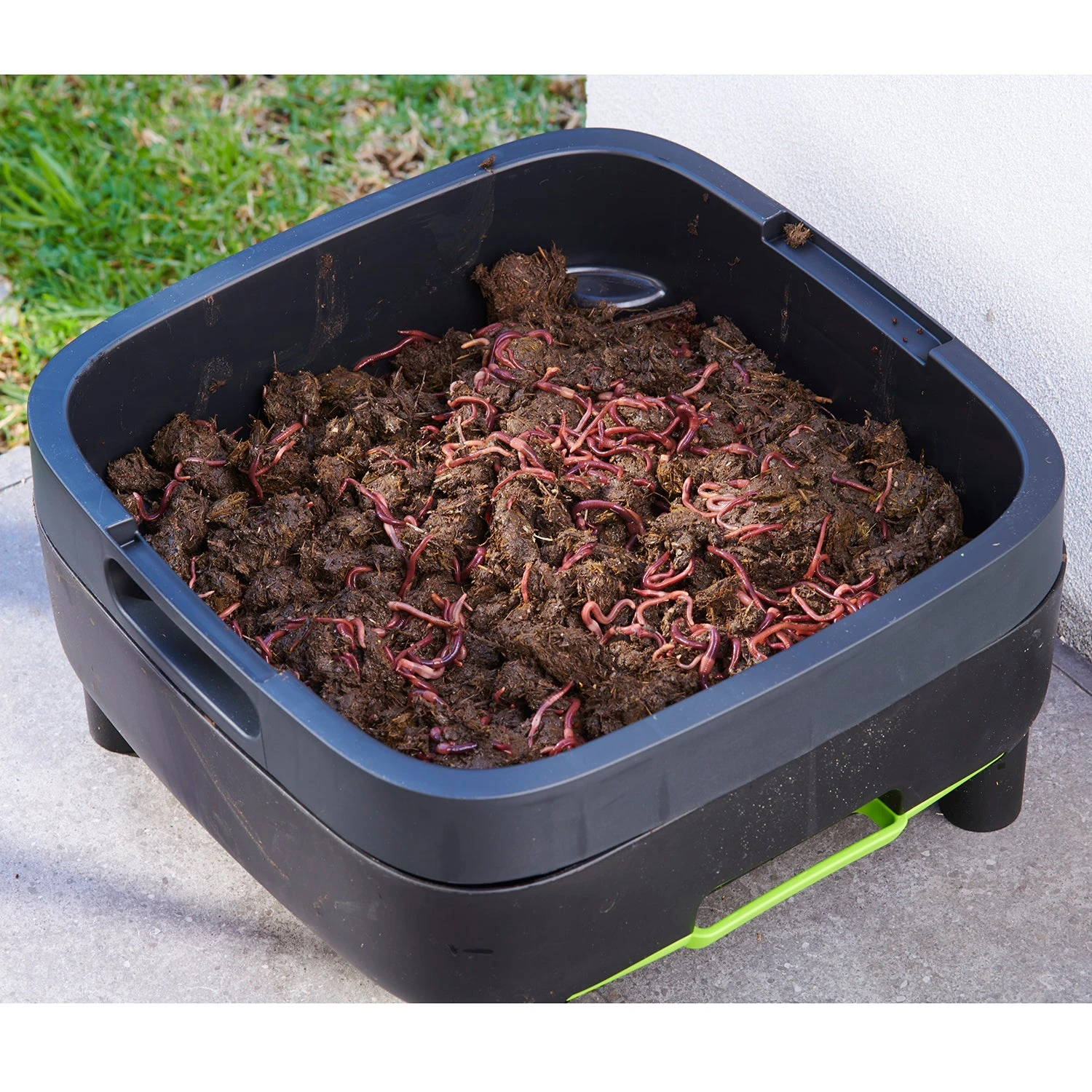 Maze Wormery - Image 5