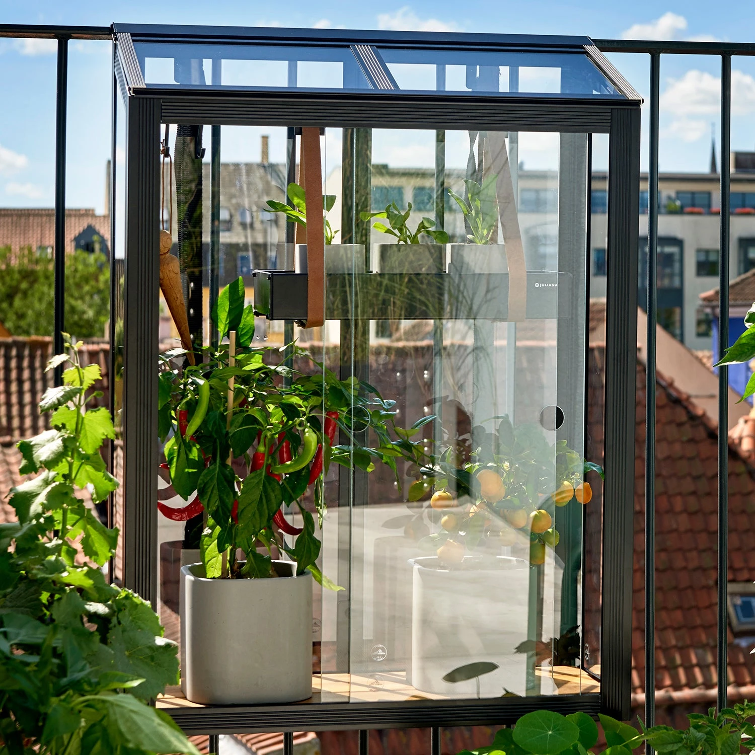 Juliana Balcony Greenhouse - Image 2