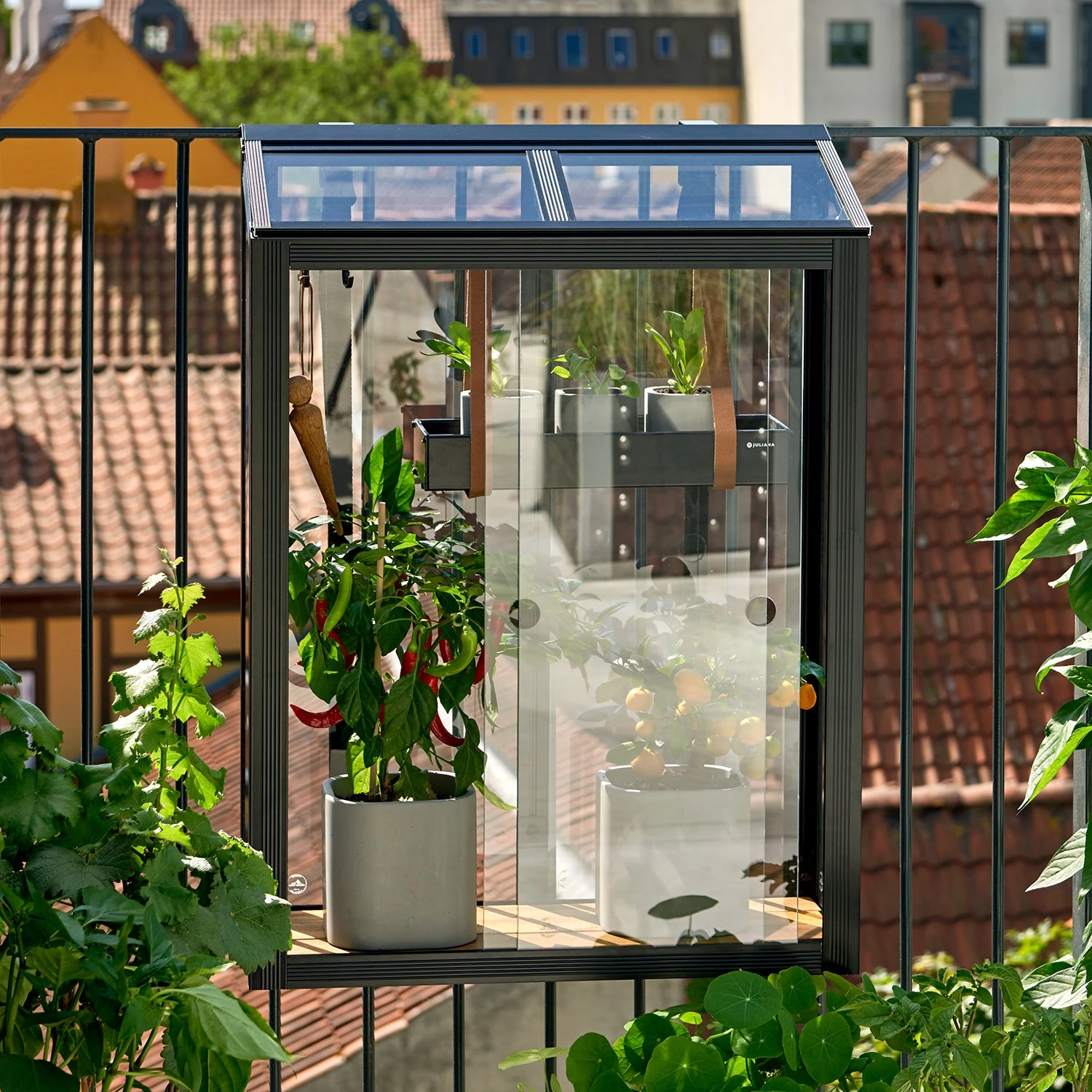 Juliana Balcony Greenhouse - Image 15