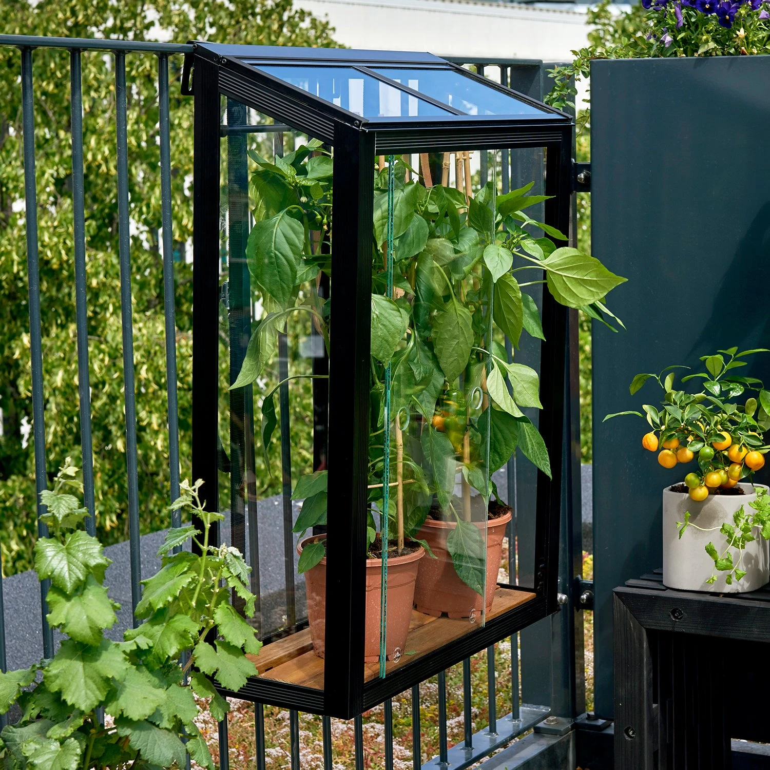 Juliana Balcony Greenhouse - Image 13