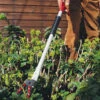 Long Reach Pruner