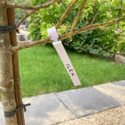 Loop Tie Labels [Pack 50]