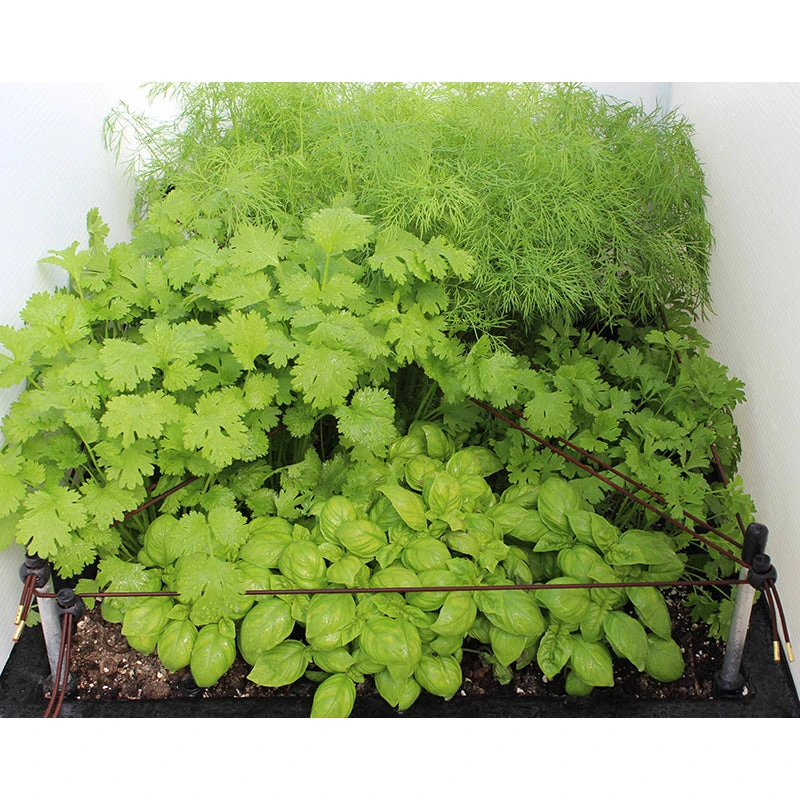 Ergrownomics - Four Square Planter Set - Image 5