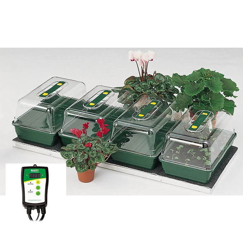 Quadruple Propagator