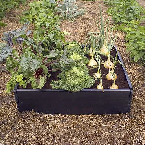 Raised Bed Border - Image 2