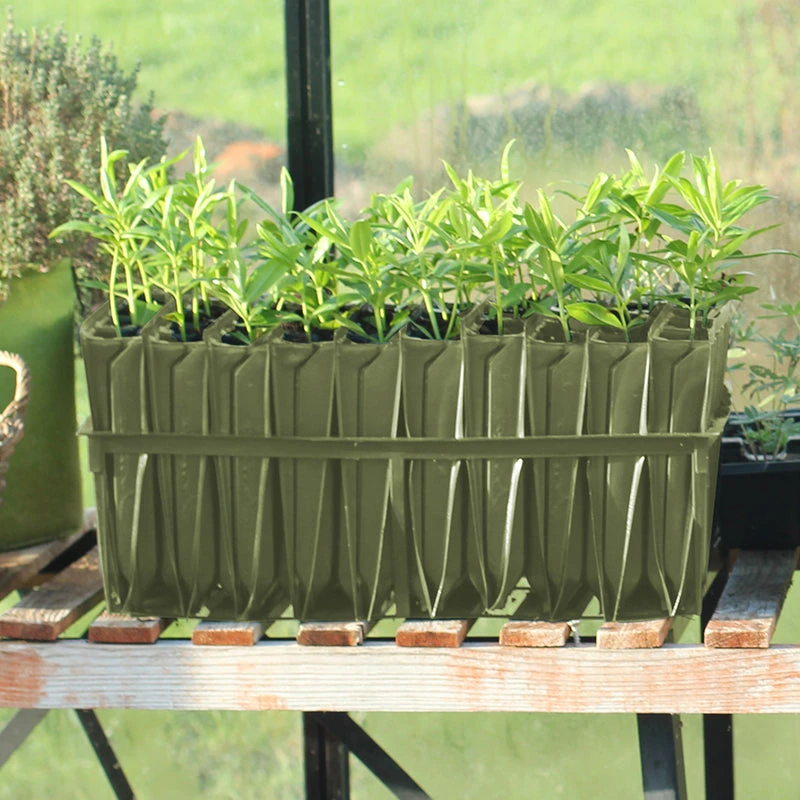 Rootrainers - Image 2