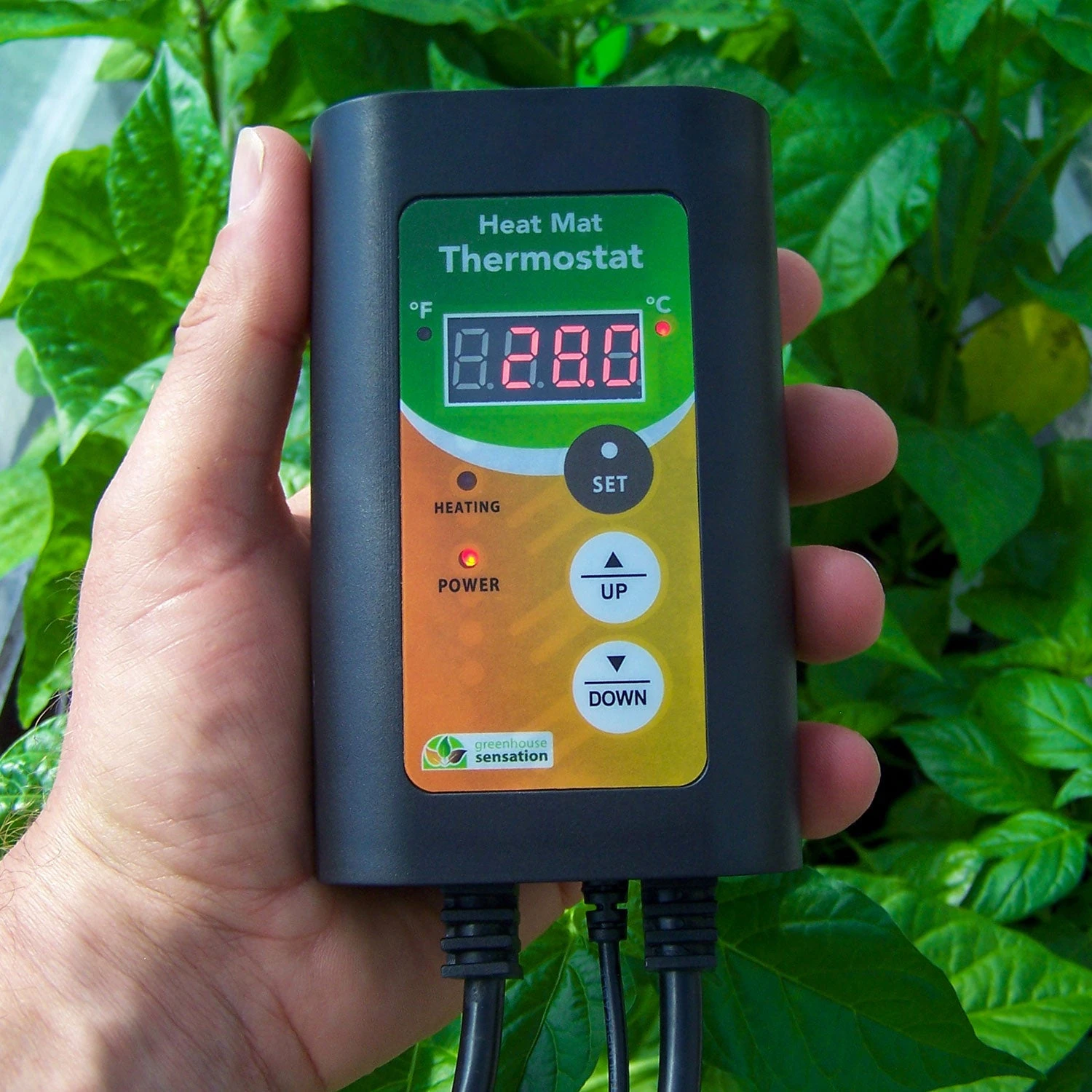 Heat Mat Digital Thermostat - Image 2