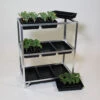 Economy Seed Tray Rack