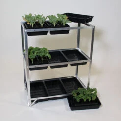 Economy Seed Tray Rack