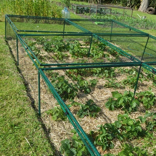 1' 6" High X 8' Wide Fruit & Vegetable Cage - Image 2