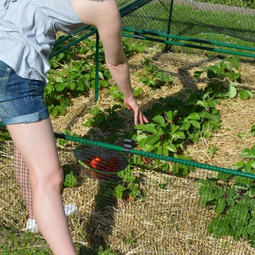1' 6" High X 8' Wide Fruit & Vegetable Cage - Image 4