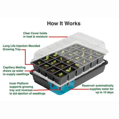 Self Watering Seed Success Kit - Image 3