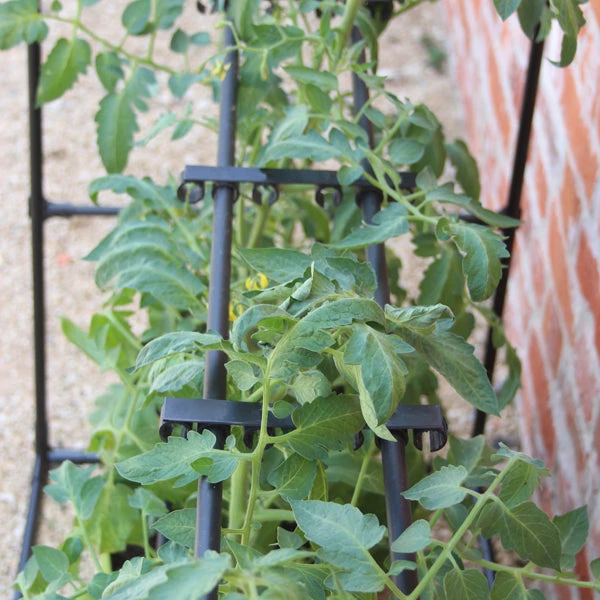 Tomato Crop-Booster Frame - Image 3