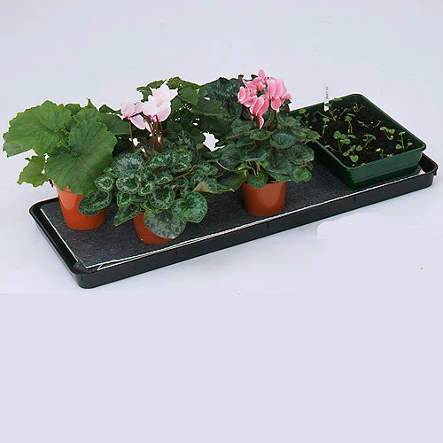 Self Watering Trays - Image 2