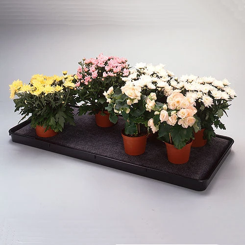 Self Watering Trays - Image 3