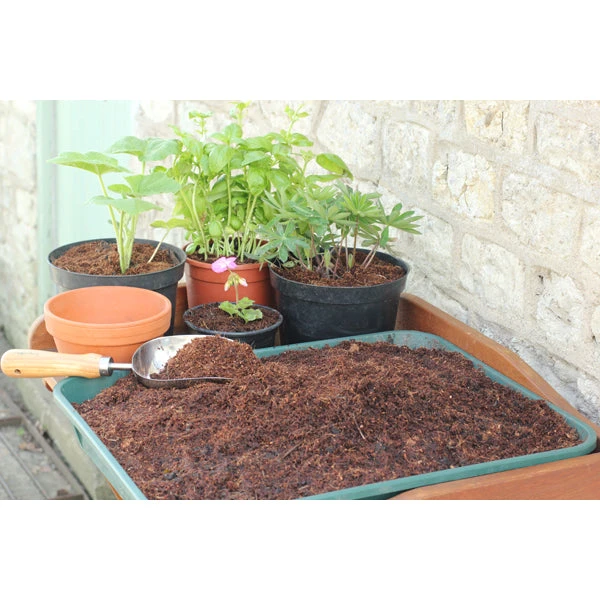 Coir Compost Block - Image 8