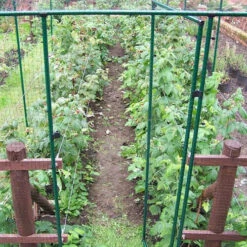 Deluxe Fruit Cage Door