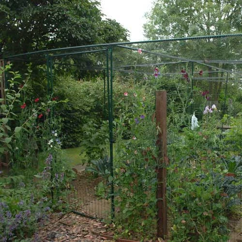 Deluxe Fruit Cage Door - Image 3