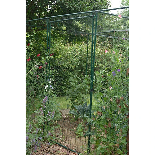 Deluxe Fruit Cage Door - Image 2