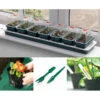 Special Offer Propagation Starter Set