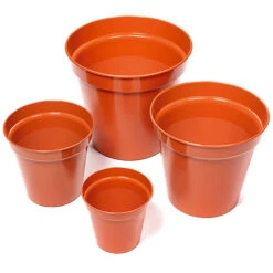 Flower Pots