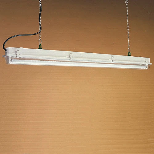 General Purpose Light