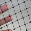 2m Wide Bird Netting Per Metre