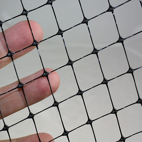 2m Wide Bird Netting Per Metre