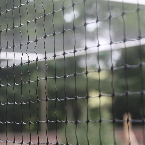 2m Wide Bird Netting Per Metre - Image 5