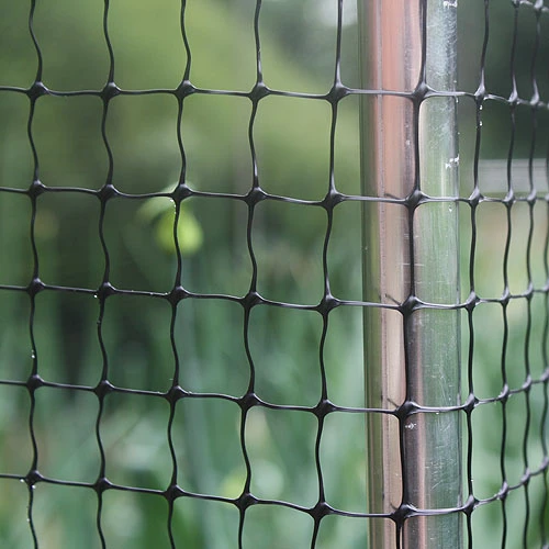 2m Wide Bird Netting Per Metre - Image 4