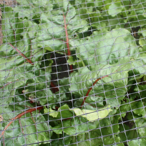 2m Wide Bird Netting Per Metre - Image 2