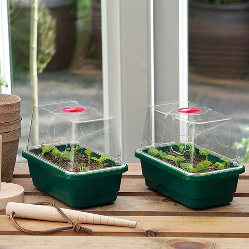 Fab4 Propagator - Image 2