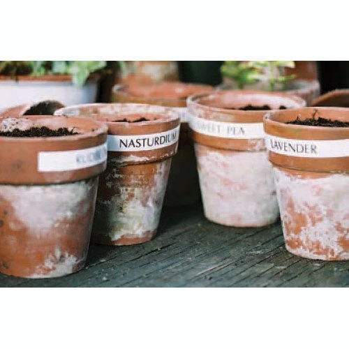 Laminated Tape For Garden Labeller - Image 4