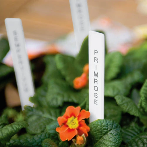 Laminated Tape For Garden Labeller - Image 2