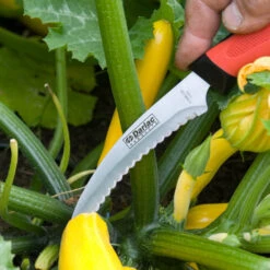 Darlac Harvesting And Asparagus Knife