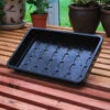 Economy Seed Trays