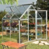 6X4 Greenhouse - Palram Canopia Harmony