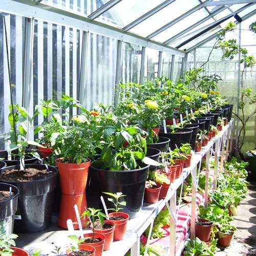 Two Tier Standard Up Staging - Image 4